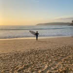 Bertie - @bertie_owens44 - Instagram
