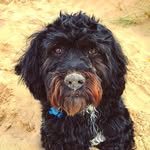 Bertie Boo Perry 💙 - @bertiebooperry - Instagram