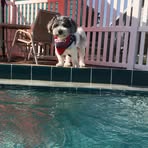 Bertie Marie Perry - Facebook