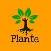 Plante - @planteoficial - TikTok
