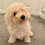𝙱𝚎𝚛𝚝𝚒𝚎 𝙿𝚘𝚛𝚝𝚎𝚛-𝙴𝚡𝚕𝚎𝚢 - @bertiesbusiness - Instagram