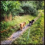 Bertie Powers - @nightsafarm - Instagram
