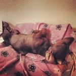 Bertie Powers - @readettemi - Instagram