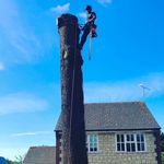 RJR Tree Work & Landscaping - @bertie.raines - Instagram