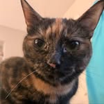 Bertie Beans Raye Cook - @bertierayecook - Instagram