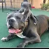 Bert Reed - @bert.reed - TikTok