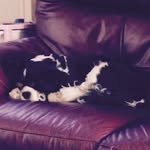 Bertie Boo - @x.bertie.richardson.x - Instagram