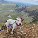 Bertie Richards - @sophiarichards1777 - Instagram
