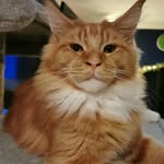 Bertie (little boo) - @bertiebooriley2021 - Instagram