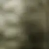 bertieriley1981 - @bertieriley1981 - TikTok
