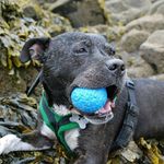 Bertie  Robinson - @_bertiesbigadventures_xo - Instagram