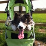 Bertie Robinson - @womblinar - Instagram