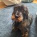 Bertie Robinson House - Facebook