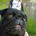 Bertie Rogers - Facebook