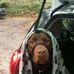 Bertie Rogers - Facebook
