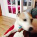 Bertie Rogers - Facebook
