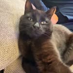 @bertie.rose7 - Instagram
