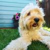 Bertie Bryant - @bertiebryant3 - TikTok