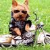 Bertie Townsend - Facebook