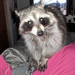 Bertie Wilson - @bertie.wilson54 - Instagram