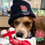 Geoff Brown - @wilsonbertiebrown - Instagram