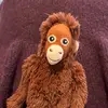 Bertil - @bertil07 - TikTok