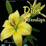 Bertilda María Rodríguez - @bertildamariarodriguez - Instagram