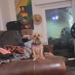 Bertilda Rodriguez - @rodriguezbertilda - Instagram