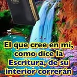 Rosa B Fuentes - @bertina.jaramillo.fuentes - Instagram