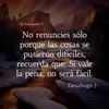 Bertie Rodgers - @bertie.rodgers2 - TikTok