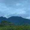 Bertine Bahige - @bbahige77668885 - TikTok