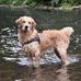Bertram Cook - Facebook