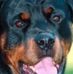 Bertram Haynes - Facebook