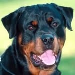 Bertram Haynes - @bertram.haynes - Instagram