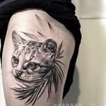 Bertram Holland - @bertram_hollandb_719 - Instagram