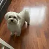 Bertram Myers - @bertram.myers - TikTok