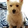Bertram Russell - @bertram.russell - TikTok