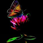 Bertrand Thomas - @bertrand.thomas.9066 - Instagram