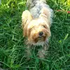 Bertrand Thomas - @bertrand.thomas5 - TikTok