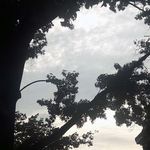 Beryl Benbow - @berylbenbow - Instagram