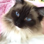 Beryl Bennett - @beryl.bennett.505 - Instagram