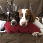Beryl•and•Bennett - @beryl_and_bennett - Instagram