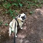 Beryl Clark - @beryl.clark - Instagram