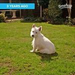 Beryl Fitzpatrick - @berylfitzpatrick - Instagram