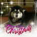 Beryl Fleming - Facebook
