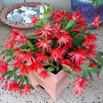 Beryl Fletcher - @berylfletcher60 - Instagram