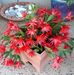 Beryl Fletcher - Facebook