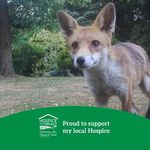 Beryl Fox - @beryl.fox.963 - Instagram