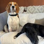 Beryl, Frank and Co - @beryl_frank_and_co - Instagram