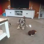 berylgardner - @berylgardner1518 - Instagram